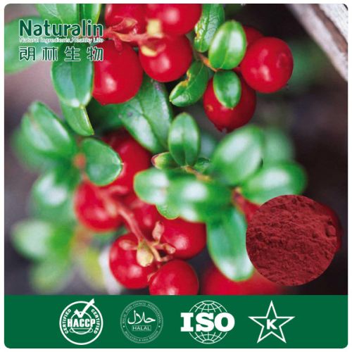 Cranberry Extract, Form : Powder, Packaging Type : Violet red
