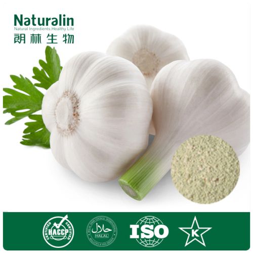 Garlic Extract, Form : Powder