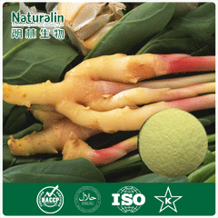Ginger Root Extract