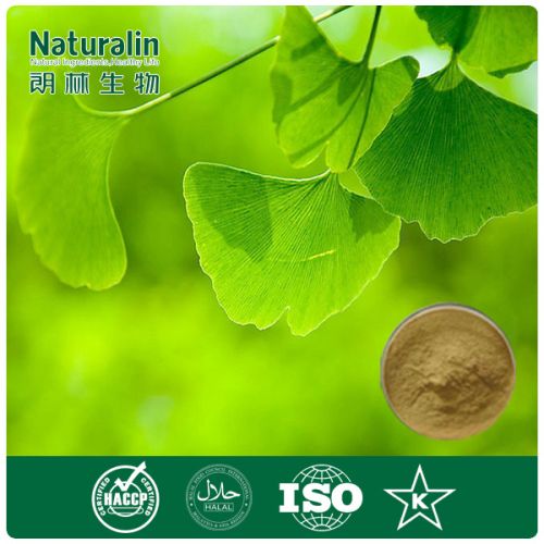 Ginkgo Biloba Leaf Extract, Form : Powder