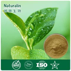 Green Tea Extract, Packaging Size : 10 to 25 kg
