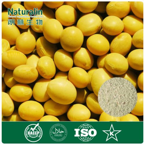 Soybean Extract Powder