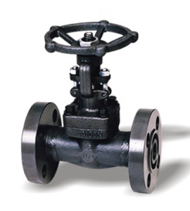 Forged Steel Valves