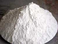 Dolomite Powder, Packaging Type : Poly Bag