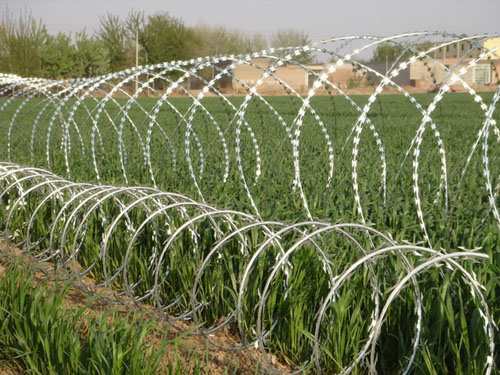 Razor Wire