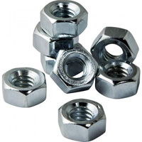 Polished Stainless Steel SS Hex Nuts, Color : Shiny Silver