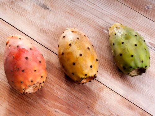 Prickly Pear