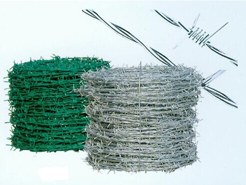 Galvanized or stainless Barbed Wire