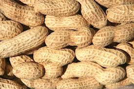 Shelled Groundnuts Form : Seeds