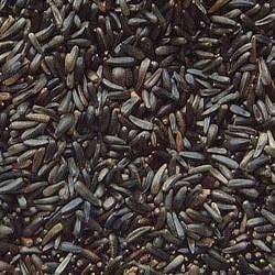 Niger Seeds
