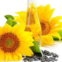 Sunflower oil, Packaging Type : Plastic Bottle