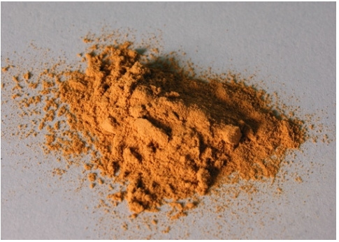 Green Tea Extract, Cultivation Type : Natural