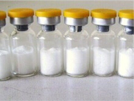 Lysipressin Acetate .