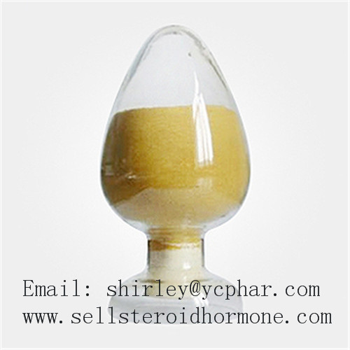 Tetracycline Hydrochloride