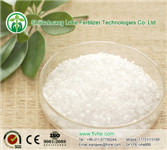 Magnesium Sulphate