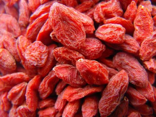 Goji Berries, Organic Raw Cacao Goji Energy Squares