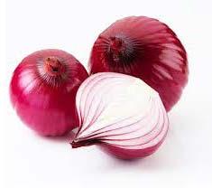 Fresh red onion For Human Consumption