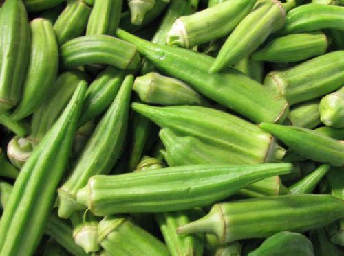 LONG Fresh Okra, Packaging Type : Gunny Bags