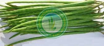 Organic Fresh Drumsticks, For Cooking, Feature : Eco-Friendly, Floury Texture, Good In Taste, Healthy