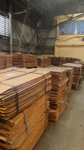 Copper cathodes, Supply Ability : 5000 ton per week