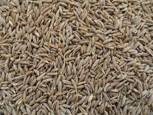 Cumin Seeds, For Cooking, Style : Dried