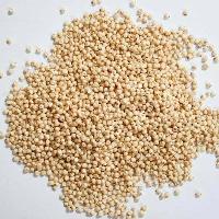 Jowar Seed