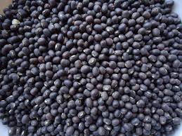 Black Matpe Beans