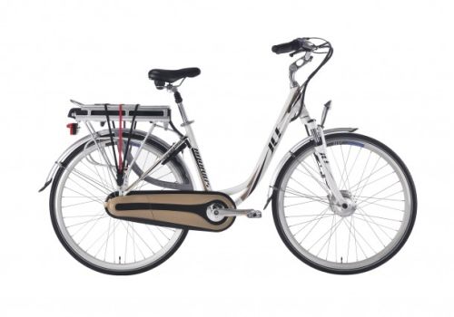 Electric Bike-bertin