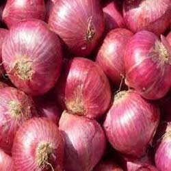 Fresh Red Onion