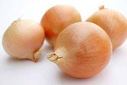 Fresh Yellow Onion