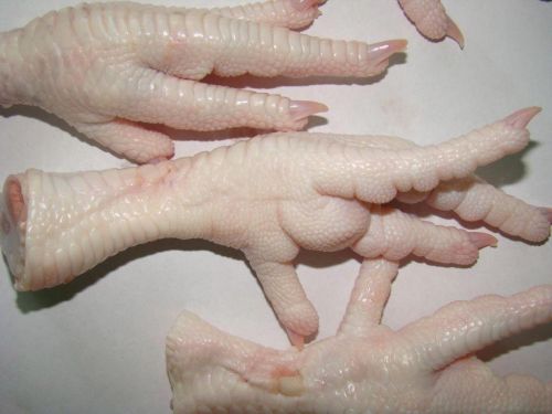 Chicken Feet, Shelf Life : 10-15 Days