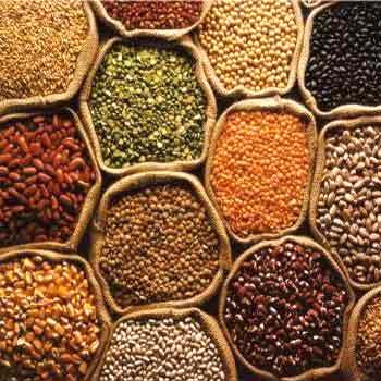 Indian Pulses