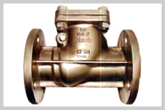 Non Return Valve