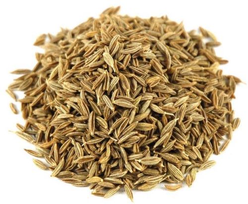 Cumin seeds, Packaging Type : PP Bags