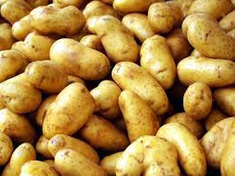 Fresh potato, Usage/Application : Cooking, Baking, Frying, Boiling