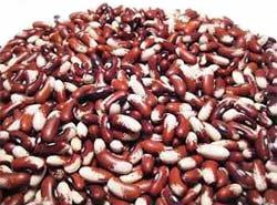 Red Kidney Beans