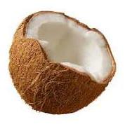 Fresh coconut, Packaging Type : Loose, Gunny Bag
