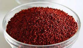 Ragi Seeds