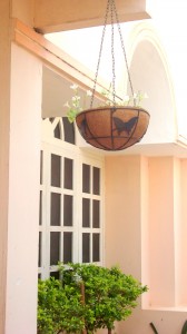 Coir Hanging Basket