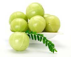 Fresh Amla, Application : Human Consumption