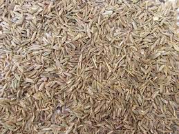 Cumin seed