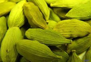 Green Cardamom