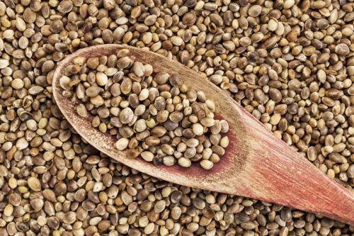 Hemp seeds
