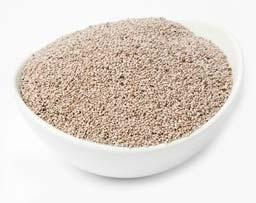 White Chia Seeds