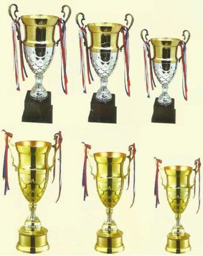 Metal Trophy Cups