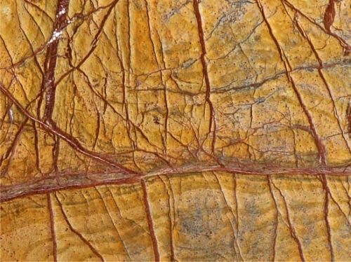 Antique Rainforest Golden Marble Stone