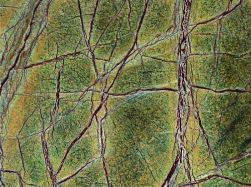 Antique Rainforest Green Marble Stone