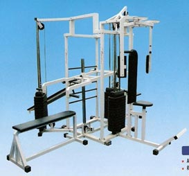Fitness Multi Gym