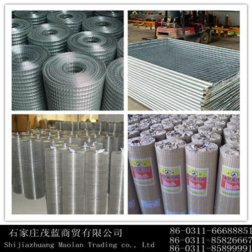 1/4 Welded Wire Mesh
