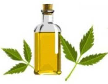 Neem Oil